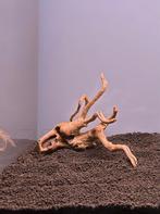 Small Red Moor wood - Spiderwood for aquascapes, Ophalen of Verzenden, Nieuw, Plant(en), Steen of Hout
