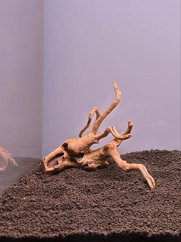 Small Red Moor wood - Spiderwood for aquascapes beschikbaar voor biedingen