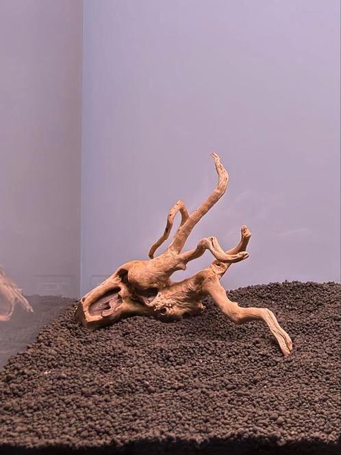 Small Red Moor wood - Spiderwood for aquascapes, Dieren en Toebehoren, Vissen | Aquaria en Toebehoren, Nieuw, Plant(en), Steen of Hout
