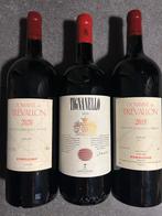 vin magnum tignanello 2020, Collections, Vins, Neuf, Pleine, Enlèvement, Vin rouge