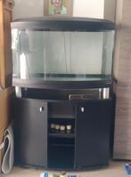 Aquarium voor vissen ferplast 150 liter, Ophalen, Gebruikt, Leeg aquarium