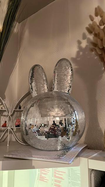 Nijntje discobal beschikbaar voor biedingen
