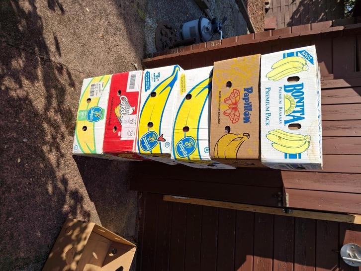 groot lot cd's meer dan 1000 stuks, Cd's en Dvd's, Cd's | Verzamelalbums, Gebruikt, Ophalen