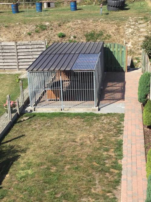 Overdekte dubbele hondenren, Dieren en Toebehoren, Pluimvee | Toebehoren, Zo goed als nieuw, Ophalen