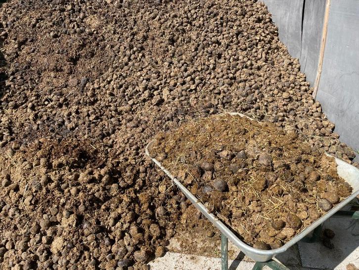 Gratis zuivere paardenmest - vlot bereikbaar met aanhanger, Tuin en Terras, Aarde en Mest, Mest, Ophalen