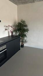 Compleet greeploze keuken, Huis en Inrichting, Keuken | Complete keukens, Nieuw, Overige materialen, Greeploos, Enkelwandige keuken