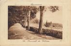 1906 - FRANKRIJK - Remiremont: La Promenade du Calvaire, Verzenden, Voor 1920, Gelopen, Frankrijk