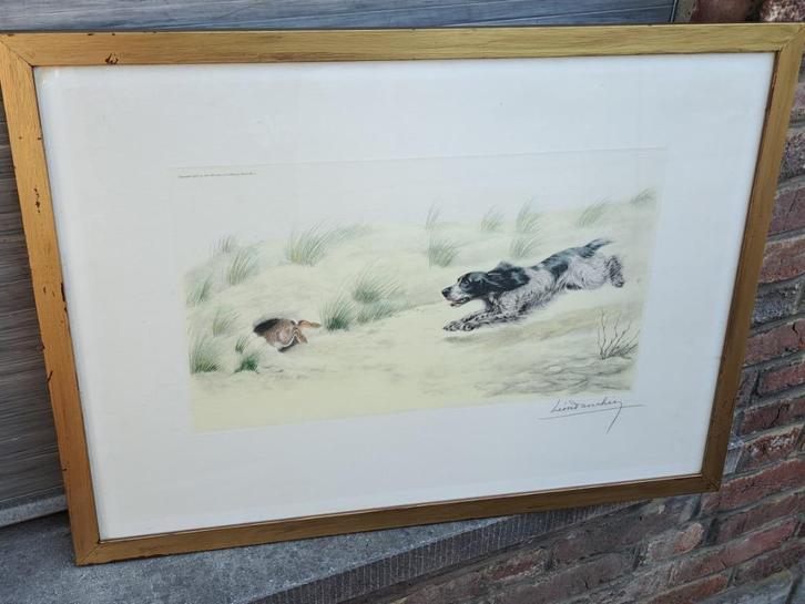 gravure chien de chasse signe leon danchin, Antiek en Kunst, Kunst | Etsen en Gravures, Ophalen of Verzenden