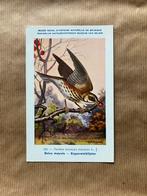 Vogels der Belgische Fauna Nr. 183 Koperwieklijster, Verzamelen, Ophalen of Verzenden, Ongelopen, Vogel