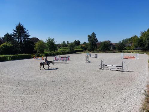 Écurie privée, Dieren en Toebehoren, Stalling en Weidegang