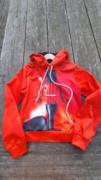 Sweater met viool, Ophalen