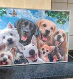 Zelfgemaakte puzzel van honden van 1000 stuks met  kader ., Huis en Inrichting, Ophalen, Zo goed als nieuw