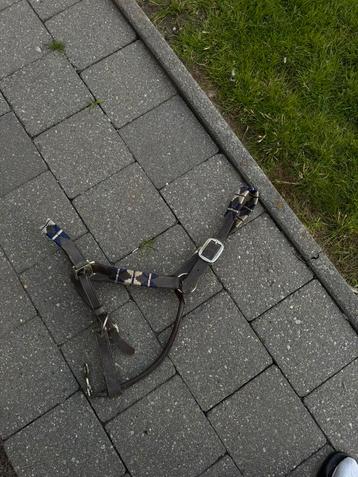 Halster maat full beschikbaar voor biedingen