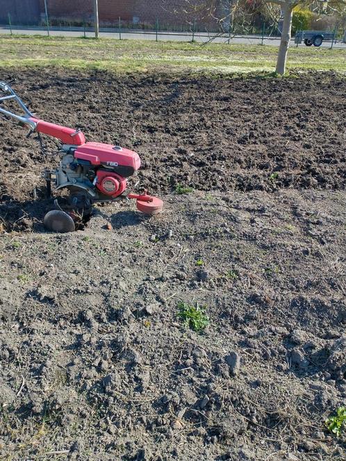 Motoculteur honda f 610, Doe-het-zelf en Bouw, Gereedschap | Freesmachines