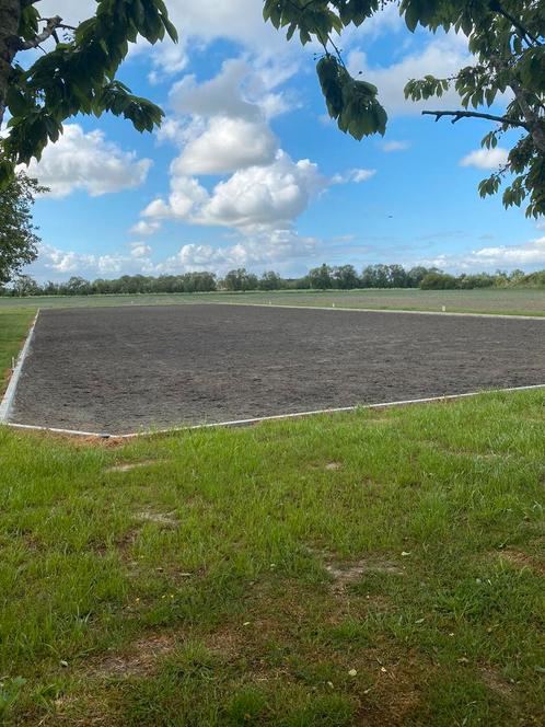 Pensionstalling - volpension - paardenbox, Dieren en Toebehoren, Stalling en Weidegang, Weidegang