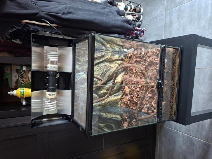 Terrarium 45x45x60, Dieren en Toebehoren, Reptielen en Amfibieën | Toebehoren, Gebruikt, Terrarium of Paludarium, Ophalen