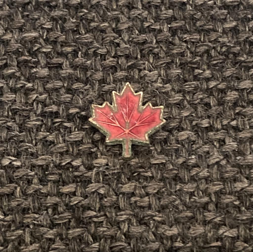 PIN - CANADA - ESDOORNBLAD - ESDOORN - MAPLE LEAF - ERABLE, Envoi, Utilisé, Ville ou Campagne, Insigne ou Pin's