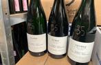 Diverse Lambieken Cantillon 3 Fonteinen Tommie Sjef, Verzamelen, Biermerken, Ophalen of Verzenden, Nieuw