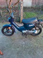 Te koop wallaroo, Autres modèles, 49 cm³, Enlèvement, Utilisé