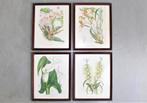 een lot van 4 litho's van planten, ca 1850, Antiek en Kunst, Kunst | Litho's en Zeefdrukken, Ophalen of Verzenden