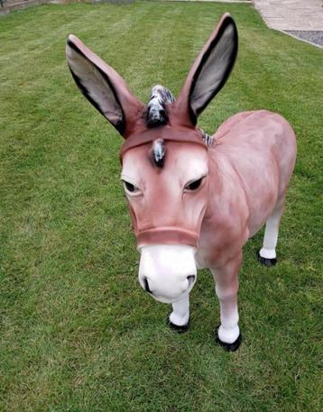 Ezel beschikbaar voor biedingen