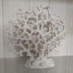 Beeld koraal, Dieren en Toebehoren, Ophalen of Verzenden, Zo goed als nieuw