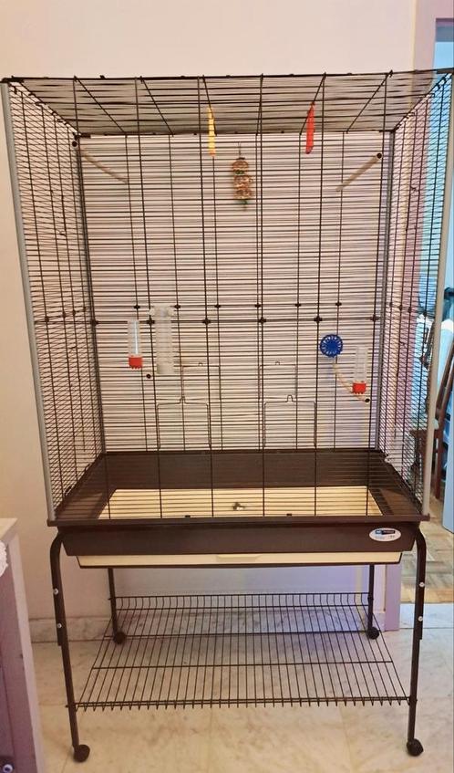 Grande cage à oiseaux Volière, Animaux & Accessoires, Oiseaux | Cages & Volières, Comme neuf, Cage à oiseaux, Enlèvement