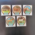 5 sticker paarden - reeks Pinti ijs, Verzamelen, Stickers, Ophalen of Verzenden, Zo goed als nieuw, Dier en Natuur