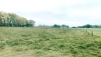 Weide 7000m2 eigen beheer, Dieren en Toebehoren