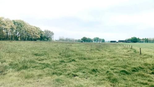 Weide 7000m2 eigen beheer, Dieren en Toebehoren, Stalling en Weidegang