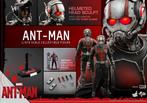 Hot Toys Marvel Antman Paul Rudd MMS308, Ophalen of Verzenden, Nieuw, Film, Actiefiguur of Pop