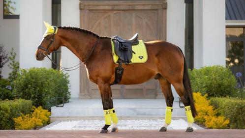 LeMieux Loire Kiwi dressuur dekje SALE -44% !!, Dieren en Toebehoren, Paarden en Pony's | Dekens en Dekjes, Nieuw, Dekje, Ophalen of Verzenden