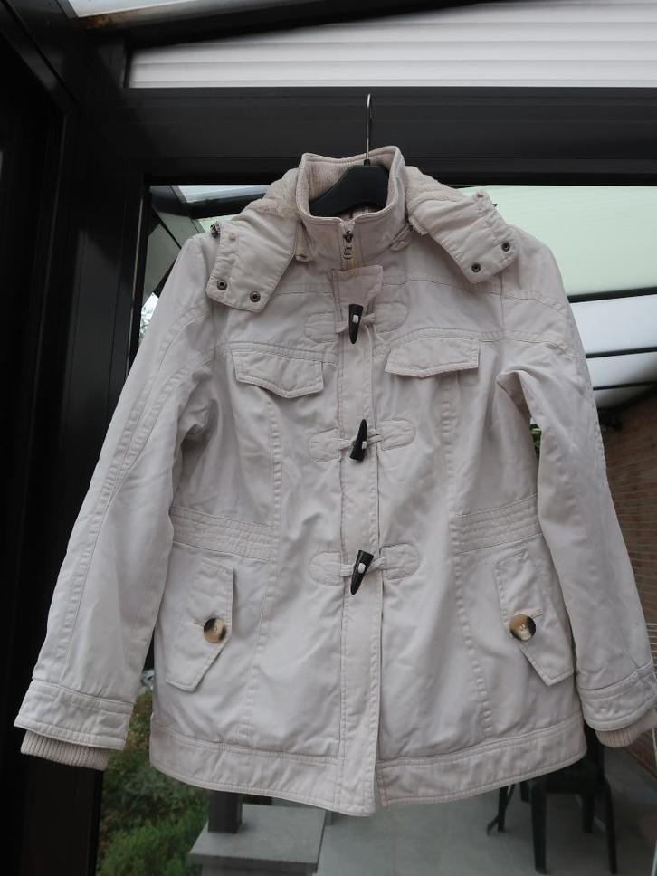 Winterjas, Kleding | Dames, Schoenen, Gedragen, Overige typen, Overige kleuren, Ophalen of Verzenden