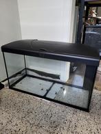 Ferplast capri 80, Dieren en Toebehoren, Ophalen, Gebruikt, Leeg aquarium