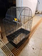 VOGELKOOI PROPER VRIJ GROOT afhalen wilrijk !