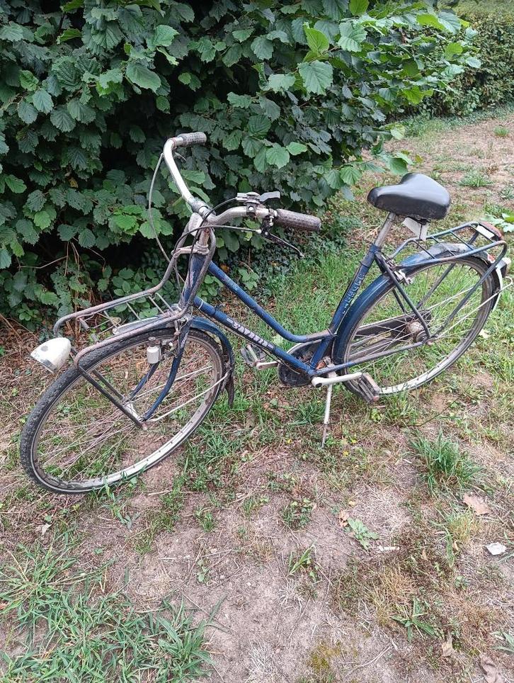 student - kot fiets l'avenir, Fietsen en Brommers, Fietsen | Dames | Omafietsen, Gebruikt, Versnellingen, Ophalen