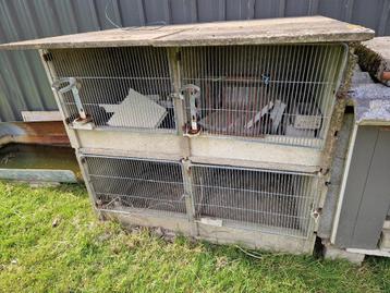 Cage bétons lapin, Enlèvement, Utilisé