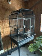 Vogelkooien en papaegaaikooi, Dieren en Toebehoren, Ophalen, Gebruikt, Overige materialen, Vogelkooi