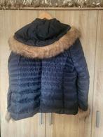 Nieuw winter jas Green ICE GOLLECTION maat XL, Kleding | Dames, Jassen | Winter, Ophalen of Verzenden, Nieuw, Maat 46/48 (XL) of groter