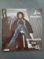 Jimi Hendrix commands the blues fotoboek, Boeken, Ophalen, Gelezen