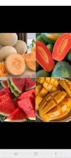 Retour affectif voyance vaudou marabout paris medium paris