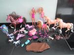 paarden lot poppen , paarden en accessoires,koets ,zadel enz, Ophalen of Verzenden, Gebruikt, Overige typen