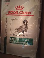 Zak sataity Royal canin 12 kg, Dieren en Toebehoren, Dierenvoeding, Ophalen