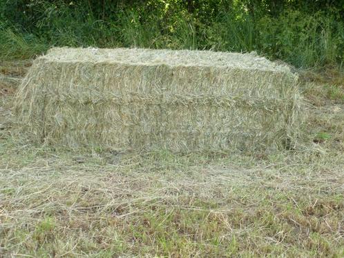 HAY/PREFANE BIO 2025 van topkwaliteit, Zakelijke goederen, Landbouw | Veevoer, Ophalen