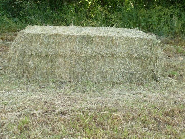 FOIN et PREFANE BIO 2025 top qualité, Zakelijke goederen, Landbouw | Veevoer, Ophalen