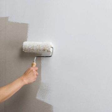 Peinture mural professionnel  beschikbaar voor biedingen