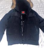 Zaveti jas, Kleding | Dames, Jassen | Winter, Zwart, Maat 42/44 (L), Ophalen of Verzenden, Zo goed als nieuw