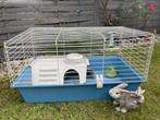 Cage pour lapin