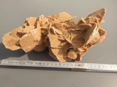 Prachtige ZANDROOS met grote bloemblaadjes 28cm, Verzamelen, Mineralen en Fossielen, Overige typen, Ophalen of Verzenden
