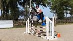 4 jarige merrie, Dieren en Toebehoren, Merrie